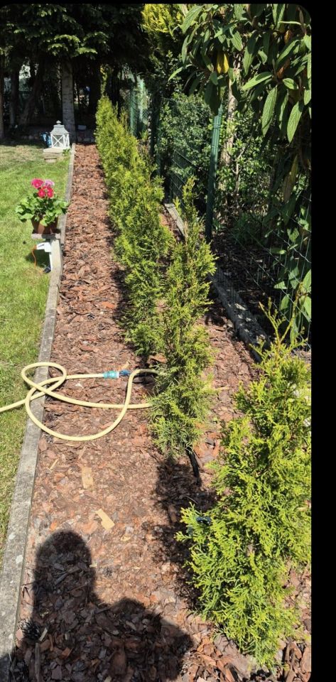 Działka rod Kulów, Kulów. Zdjęcie 12