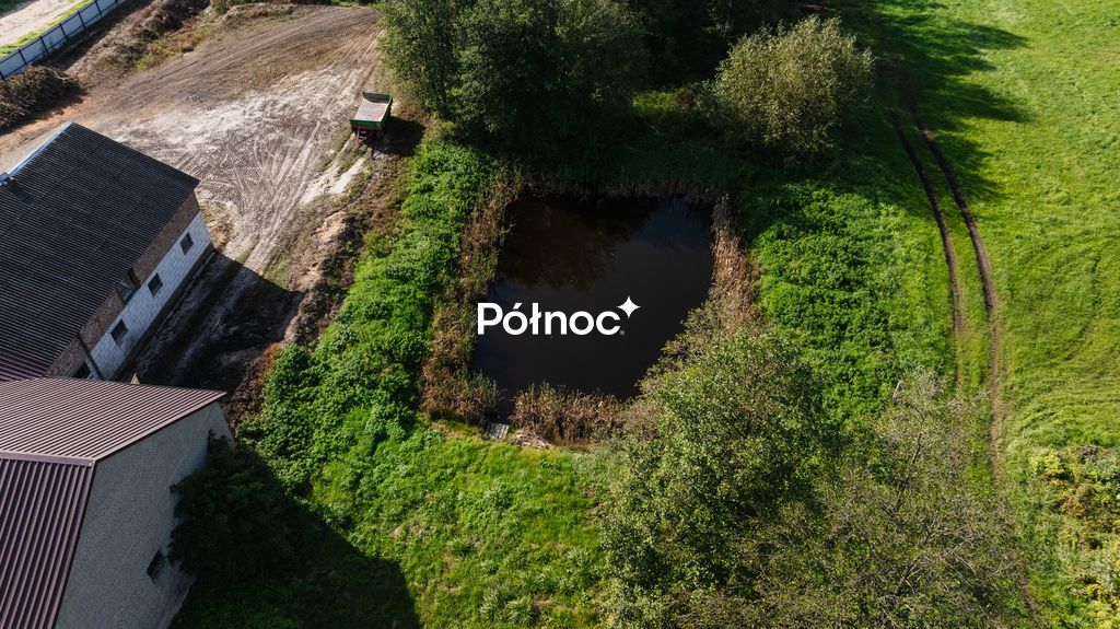dom wolnostojący, 4 pokoje Sosnowiec. Zdjęcie 29
