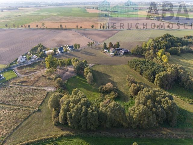 Działka rolna Biechowo. Zdjęcie 5