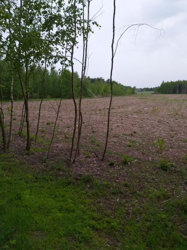 Działka rolno-budowlana Radzymin. Zdjęcie 5