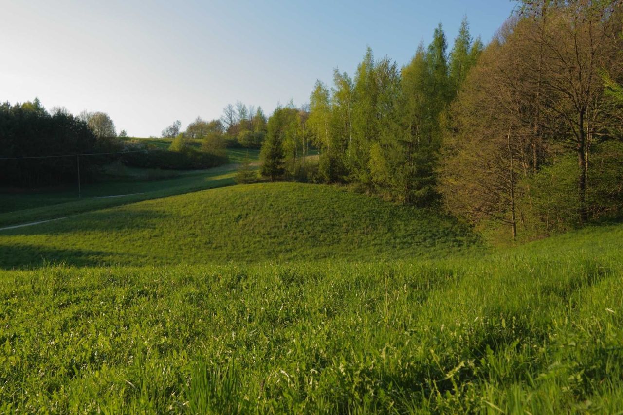 Działka rolno-budowlana Tuchów, ul. bp. Leona Wałęgi. Zdjęcie 5