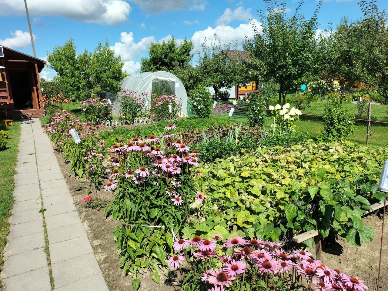 Działka rod Iłża, ul. Zuchowiec. Zdjęcie 3