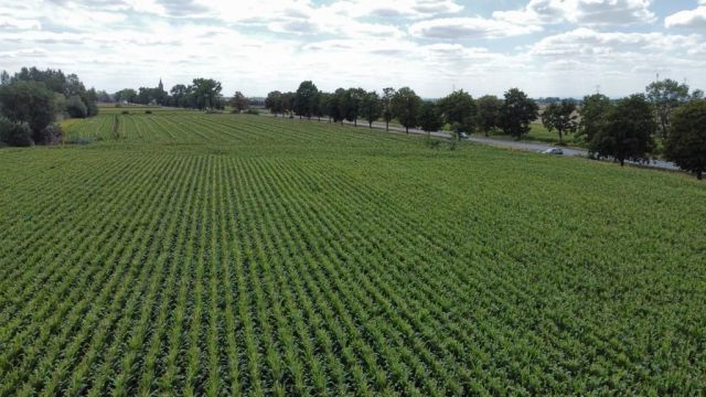 Działka inwestycyjna Turów. Zdjęcie 1