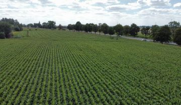 Działka inwestycyjna Turów