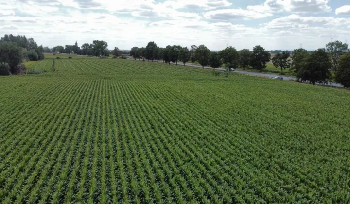 Działka inwestycyjna Turów