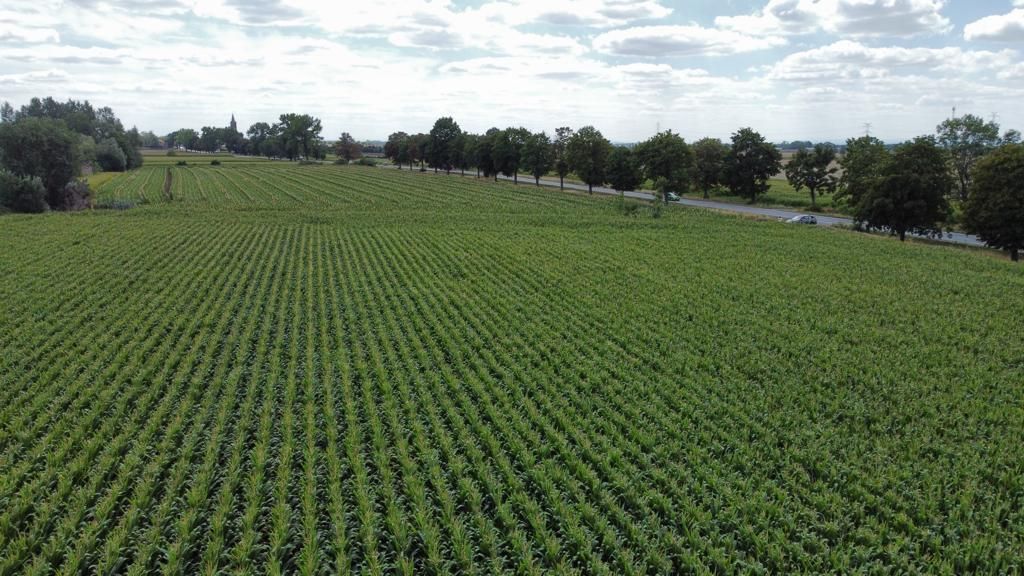 Działka inwestycyjna Turów