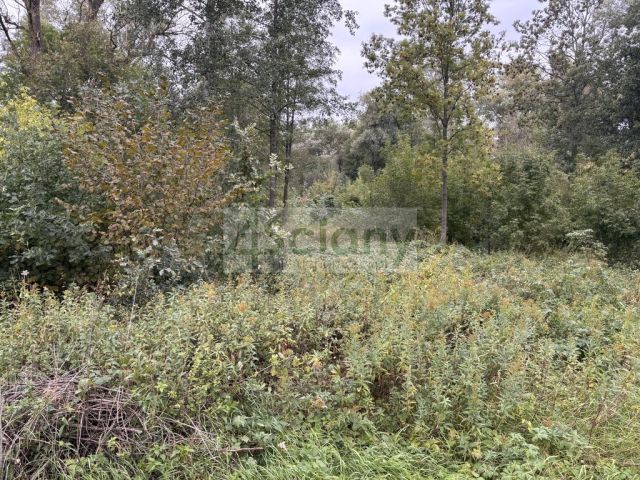 Działka budowlana Wilków Polski. Zdjęcie 2