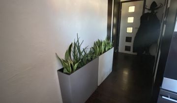 Mieszkanie 3-pokojowe Rosnowo