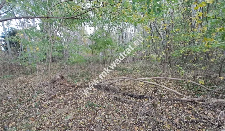 Działka budowlana Wyględy