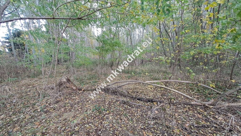 Działka budowlana Wyględy. Zdjęcie 1