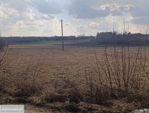 Działka budowlana Falki. Zdjęcie 3