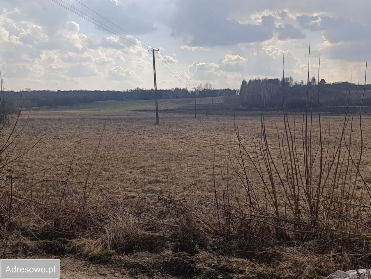 Działka budowlana Falki. Zdjęcie 4