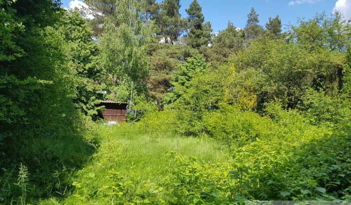 Działka rekreacyjna Rostki Skomackie