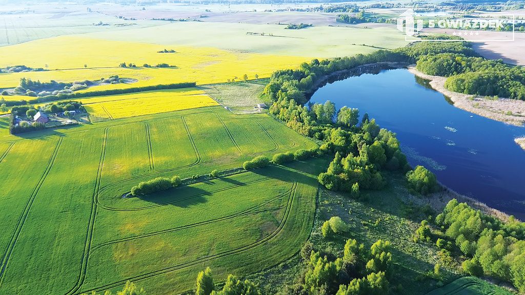 Działka budowlana Dziki. Zdjęcie 13