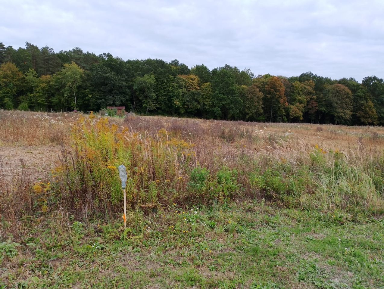 Działka budowlana Janów, ul. Adama Mickiewicza. Zdjęcie 4