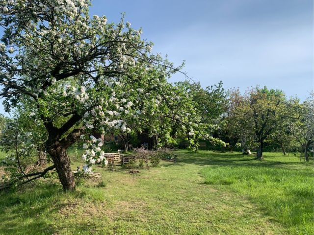 Działka rod Gdańsk Orunia. Zdjęcie 1