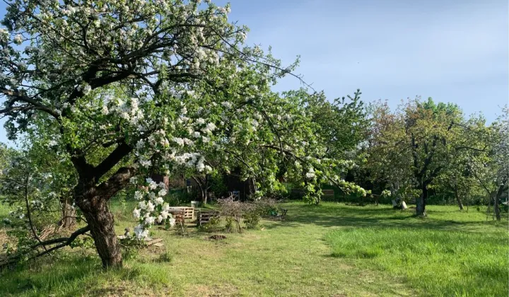 Działka rod Gdańsk Orunia
