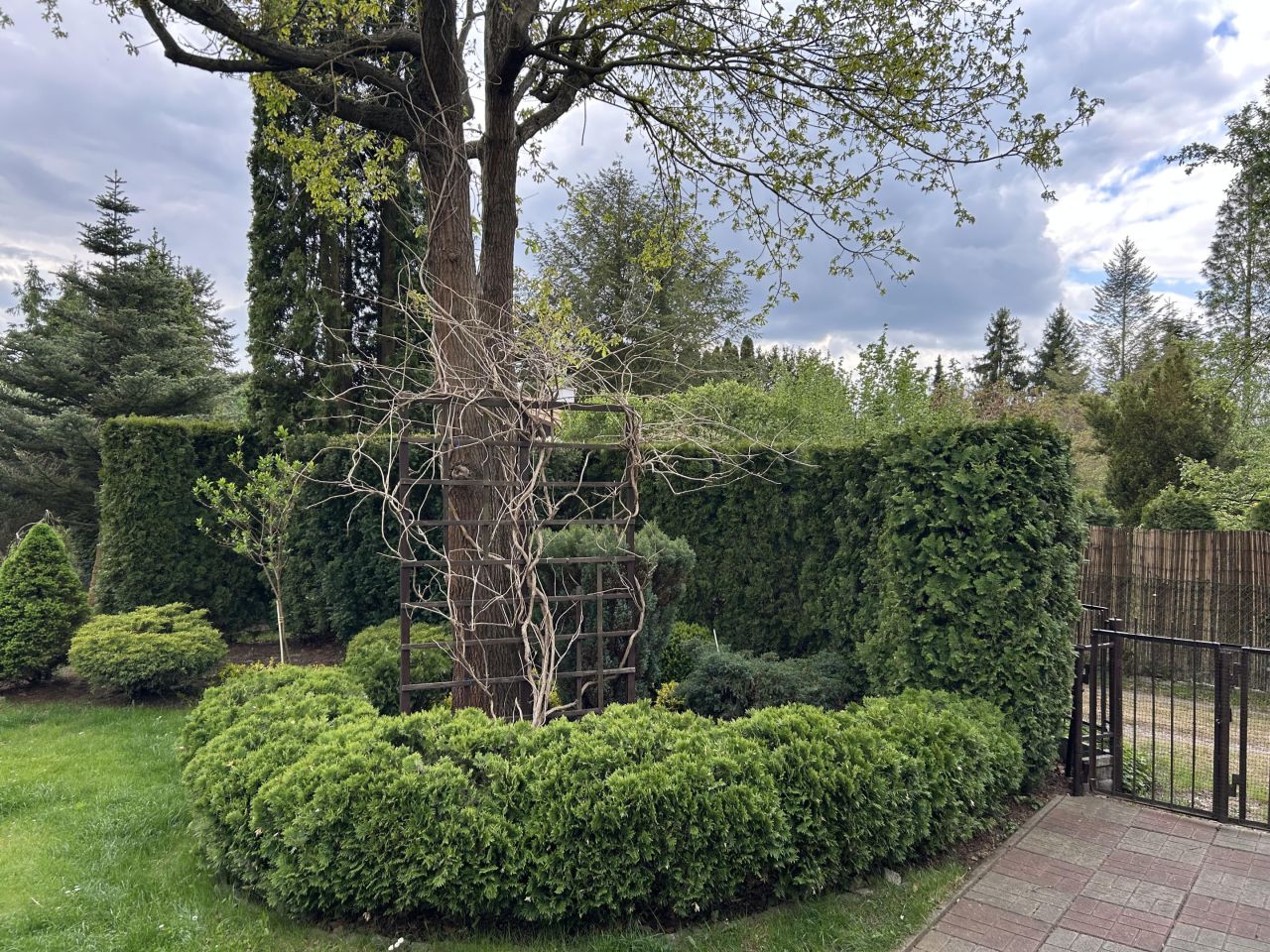 Działka rod Szczaki, ul. Mrokowska. Zdjęcie 18