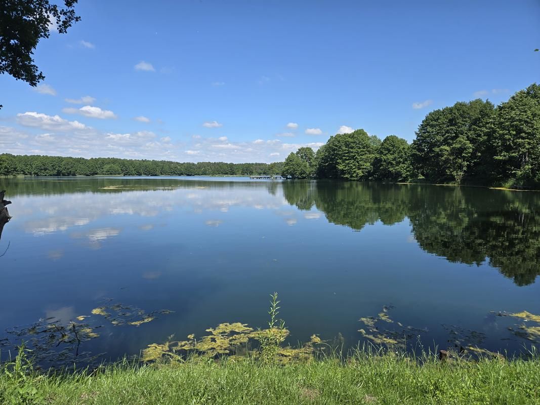 Działka budowlana Dąb Polski, ul. Liliowa. Zdjęcie 14