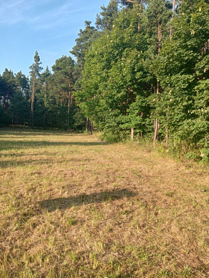 Działka rolno-budowlana Zajączków. Zdjęcie 2