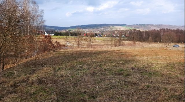 Działka rolno-budowlana Wyżne Rędziny. Zdjęcie 1