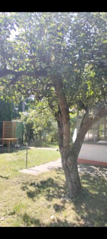 Działka rekreacyjna Złotniki. Zdjęcie 1