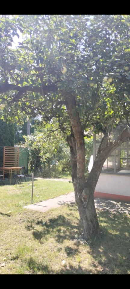 Działka rekreacyjna Złotniki