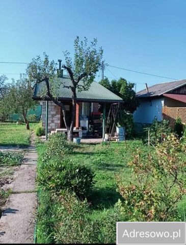 Działka rod Staszów Radzików. Zdjęcie 1