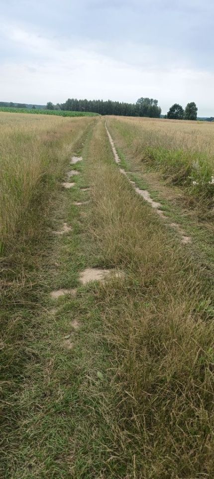 Działka rolna Białki Dolne. Zdjęcie 5