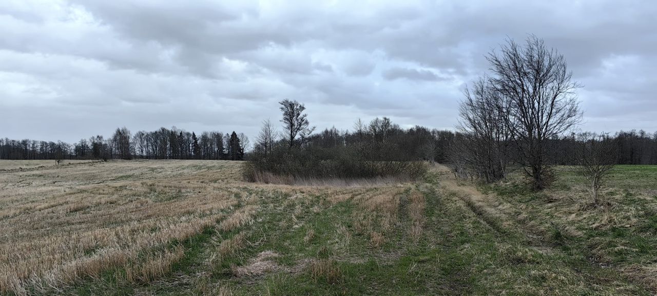 Działka rolna Karszewo. Zdjęcie 15