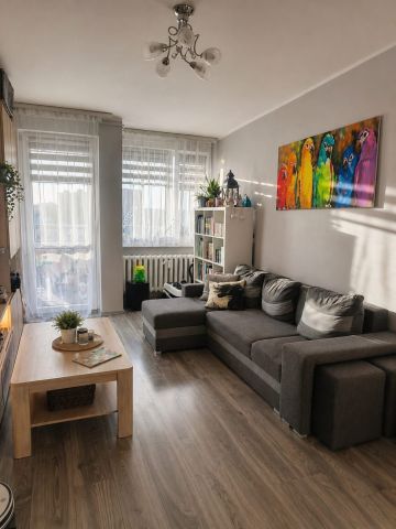 Mieszkanie 2-pokojowe Tczew Osiedle Garnuszewskiego, al. Zwycięstwa. Zdjęcie 1