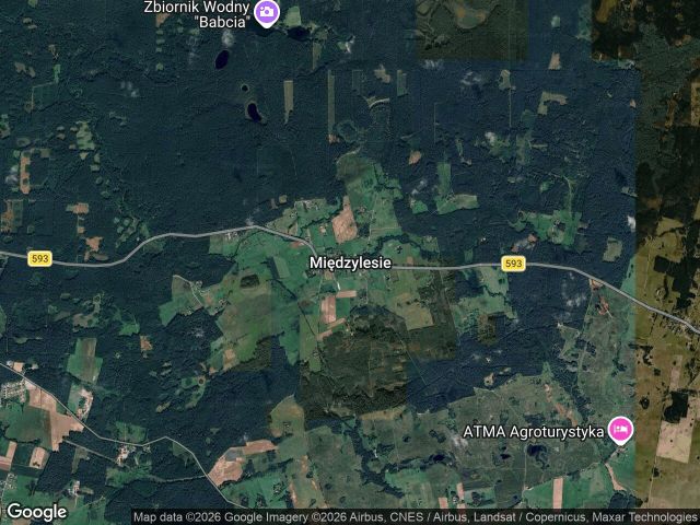Działka rolna Międzylesie. Zdjęcie 1