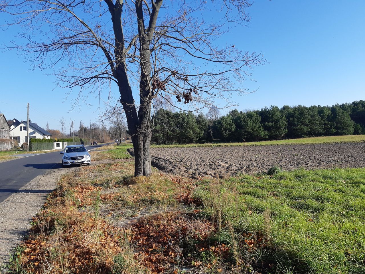 Działka budowlana Prostyń. Zdjęcie 7