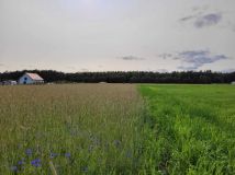 Działka budowlana Nowy Sumin. Zdjęcie 3