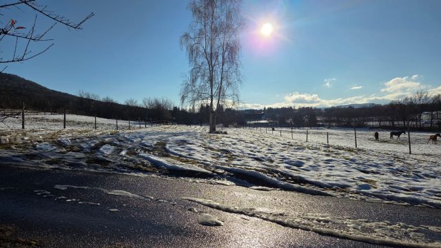 Działka siedliskowa Sady. Zdjęcie 5