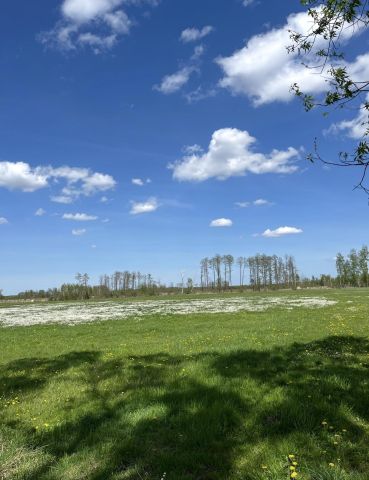 Działka budowlana Zalesie, Ameryczka. Zdjęcie 1
