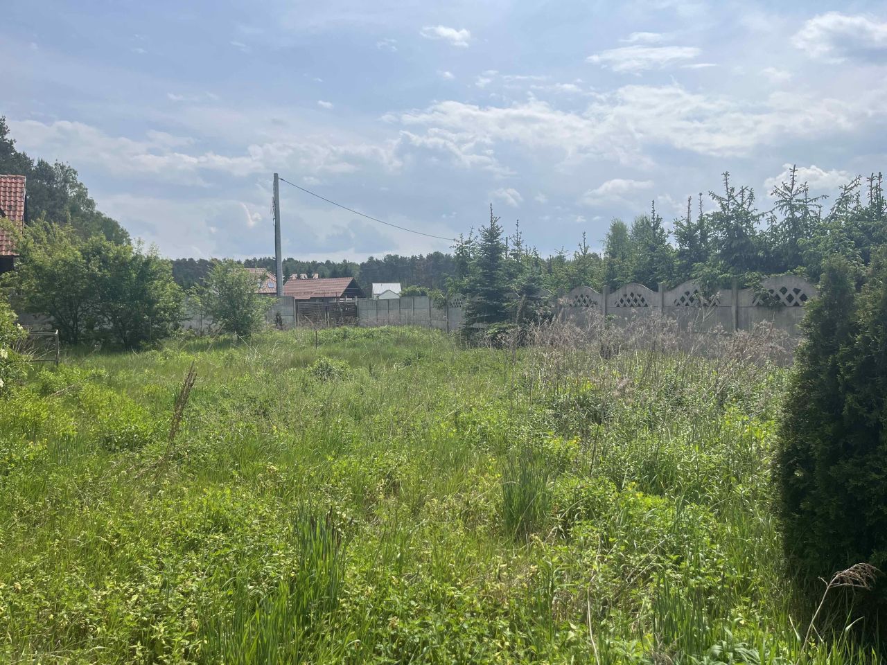 gospodarstwo Międzylesie, ul. Jeziorna. Zdjęcie 11