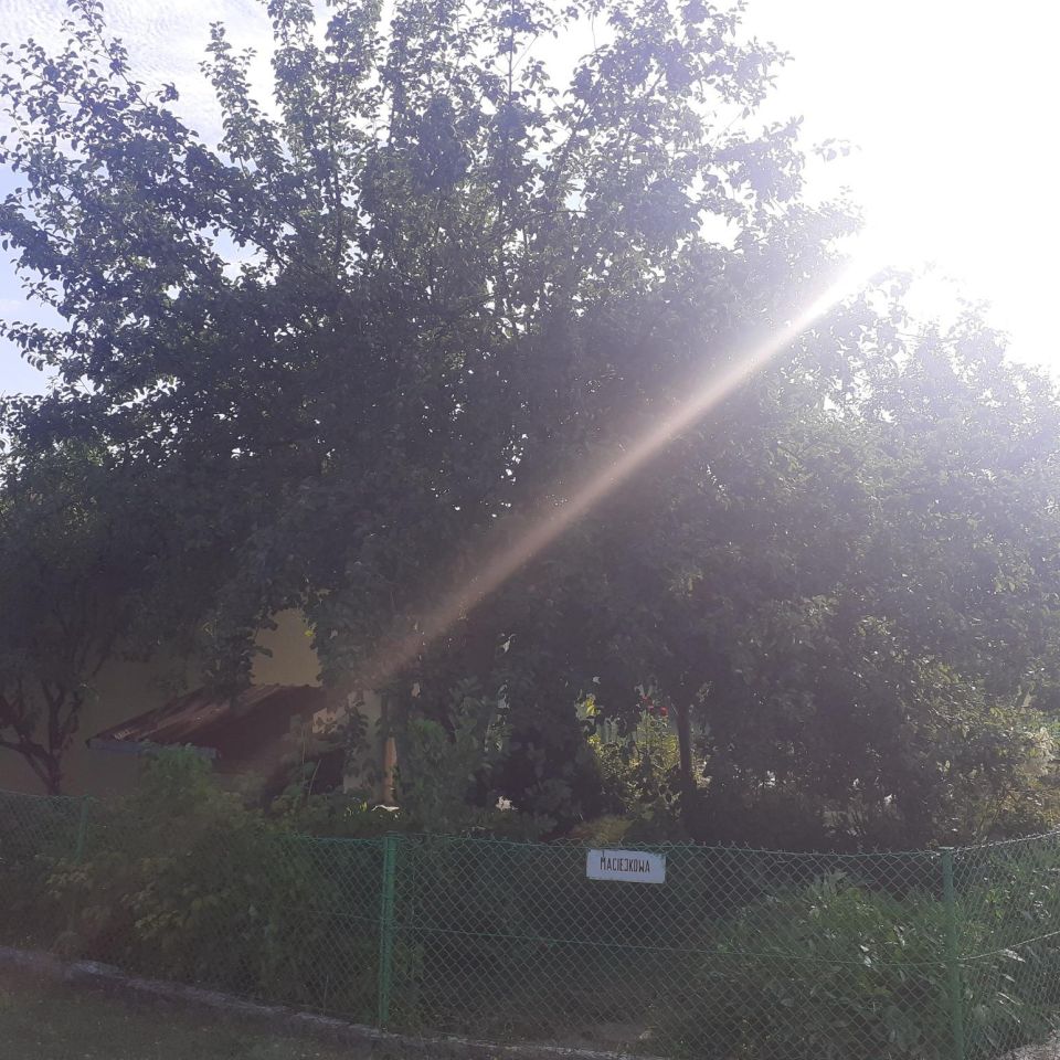 Działka rod Grzybiany, ul. Legnicka. Zdjęcie 6