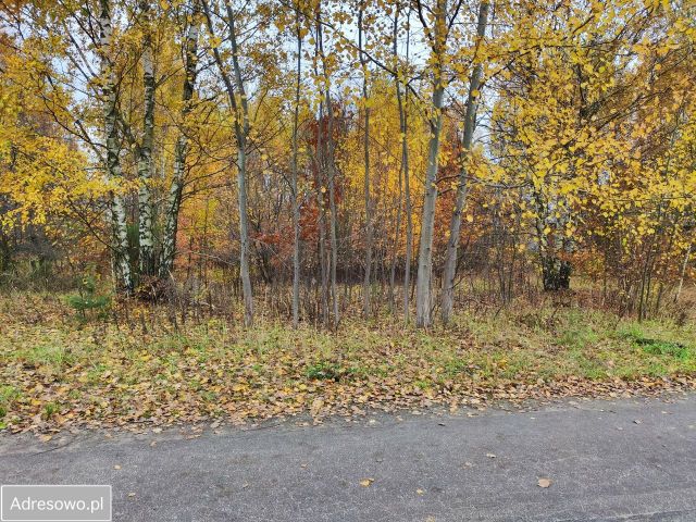 Działka budowlana Wierzchowisko, ul. Dębowa. Zdjęcie 1