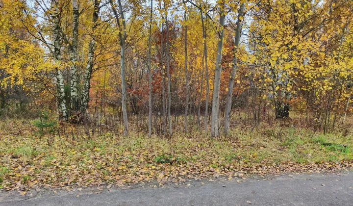 Działka budowlana Wierzchowisko, ul. Dębowa