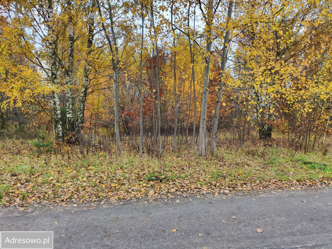 Działka budowlana Wierzchowisko, ul. Dębowa. Zdjęcie 1