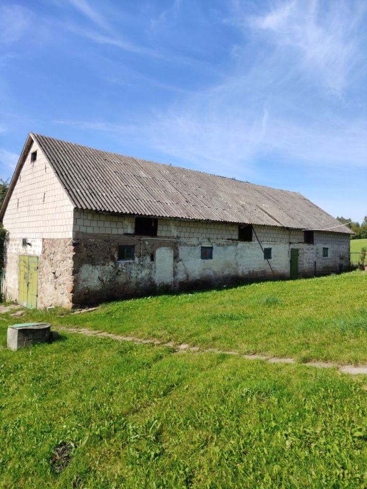 gospodarstwo Filipów Drugi. Zdjęcie 4