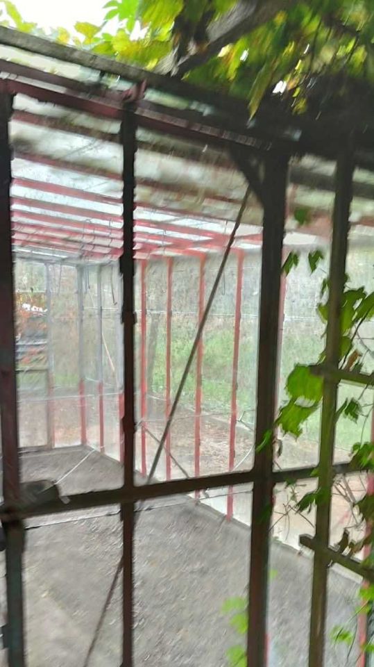 Działka rod Choszczno. Zdjęcie 5