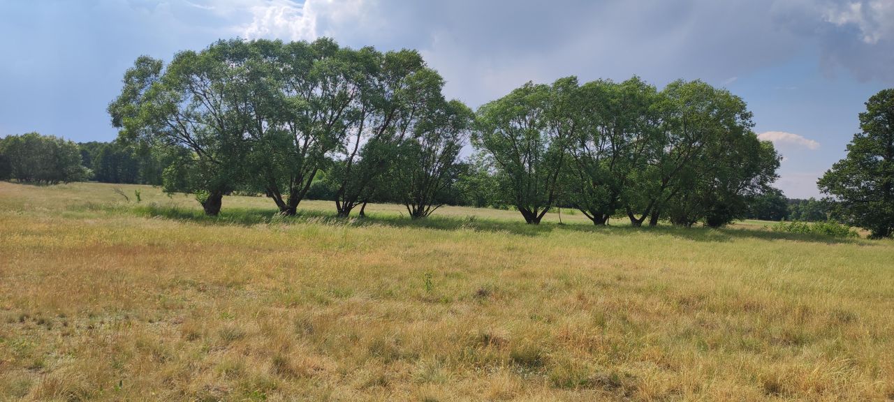 Działka rolno-budowlana Cisie, ul. Jesienna. Zdjęcie 9