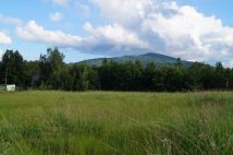 Działka budowlana Jarnołtówek. Zdjęcie 1