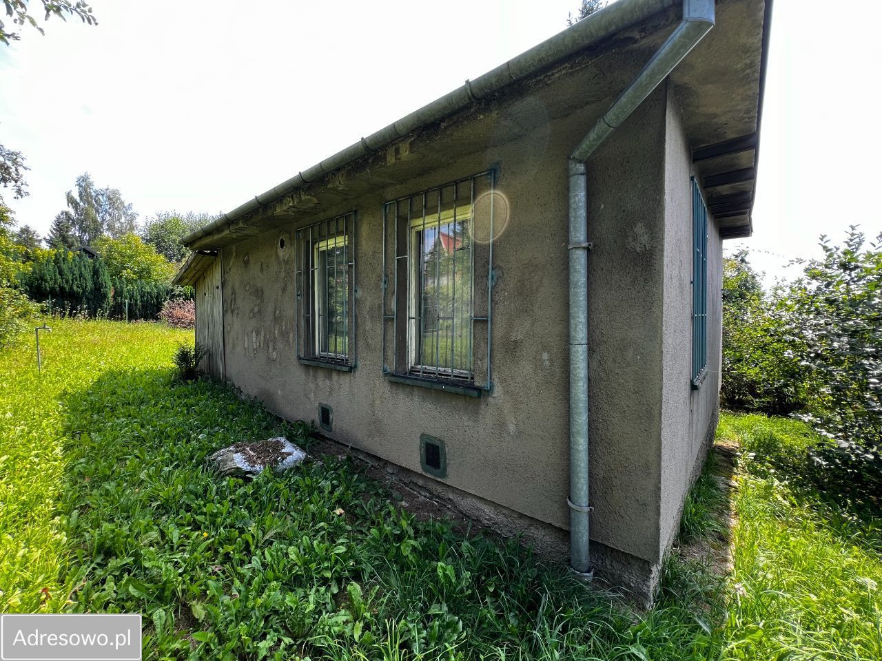 Działka rod Sygneczów. Zdjęcie 4