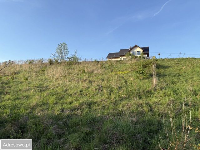 Działka inwestycyjna Burów. Zdjęcie 1