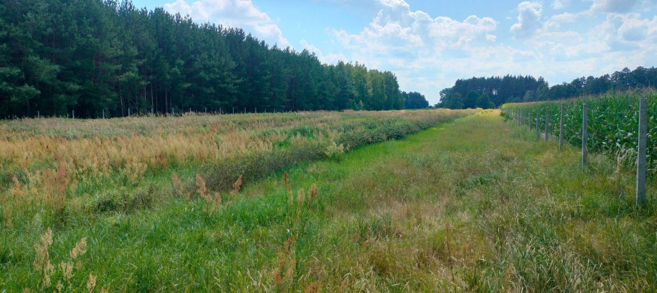 Działka rolna Kostki