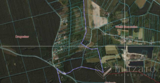 Działka rolna Drogosław. Zdjęcie 9