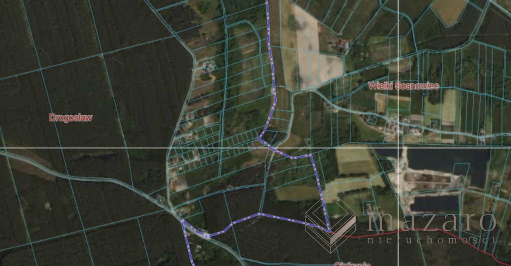 Działka rolna Drogosław. Zdjęcie 9